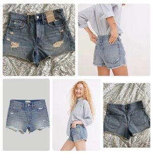 Madewell Relaxed Denim Shorts in Renfield Wash: Destructed Edition
